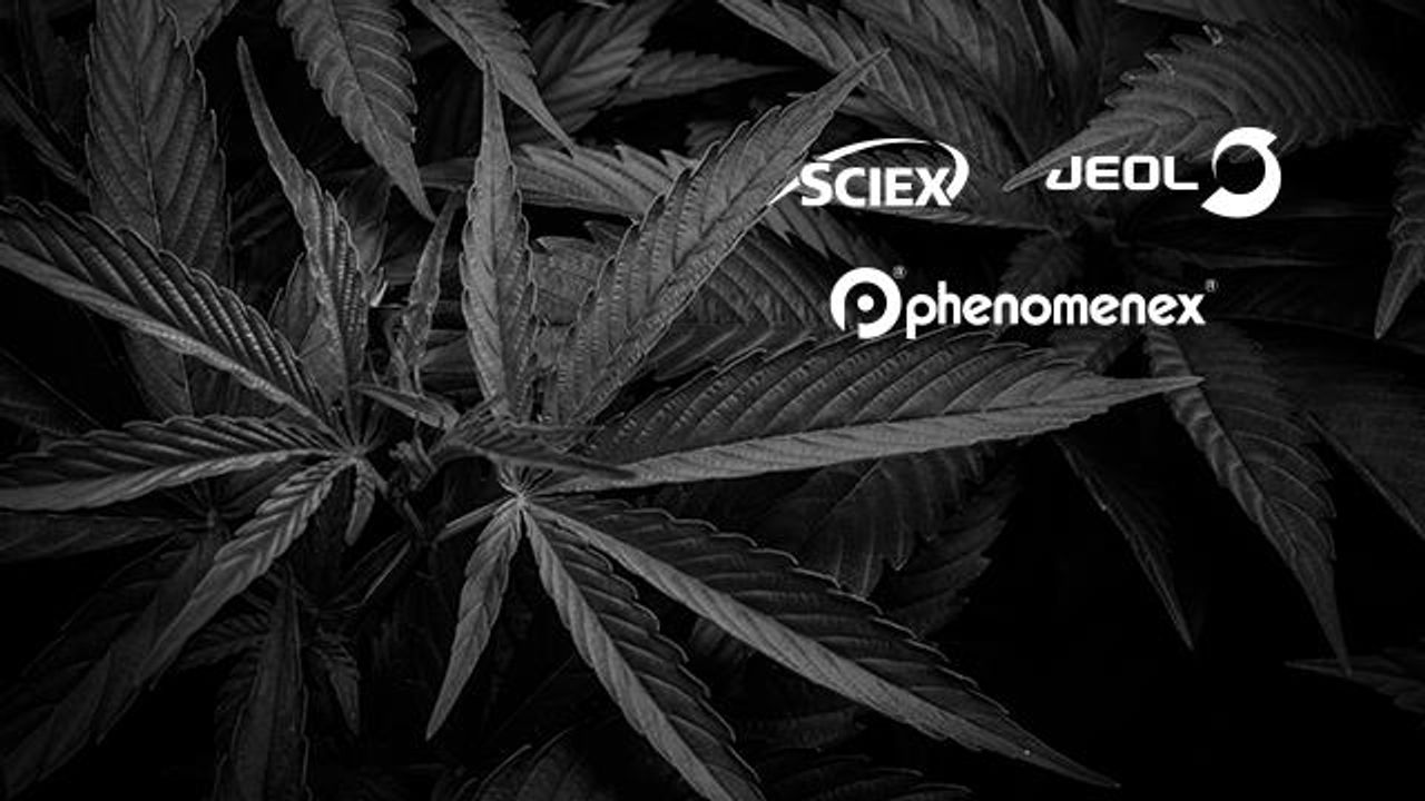 The Analytical Landscape of Cannabis Testing Session 4: Residual Solvents & Terpenes by GC-MS