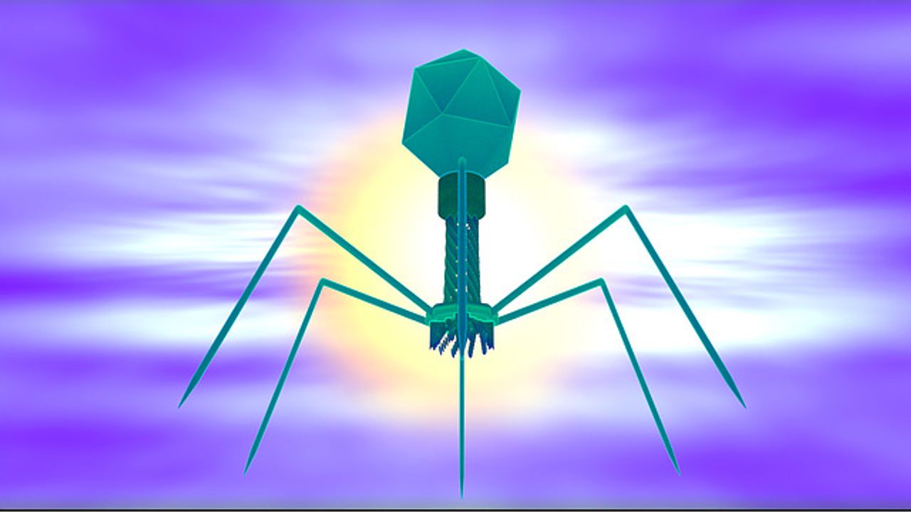 Uncovering the Mysteries of Jumbo Bacteriophage