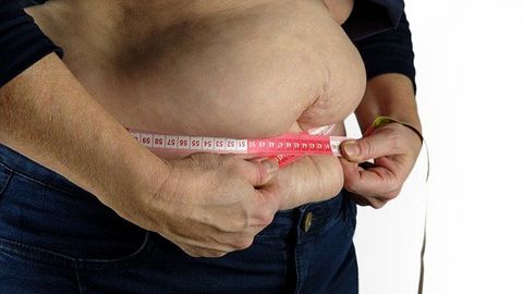 Discovery of Immune Process That Regulates Human Fat Inflammation May Help Obesity Management