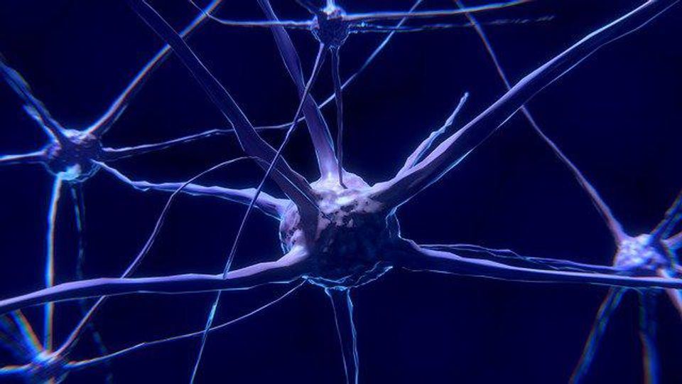 How Early Life Experiences May Affect Brain Wiring content piece image