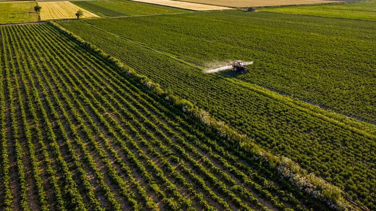 Farmland Relocation Could Turn Back the Carbon Emissions Clock