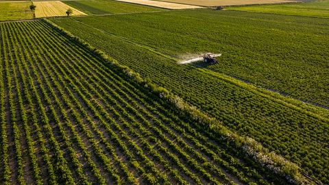 Farmland Relocation Could Turn Back the Carbon Emissions Clock