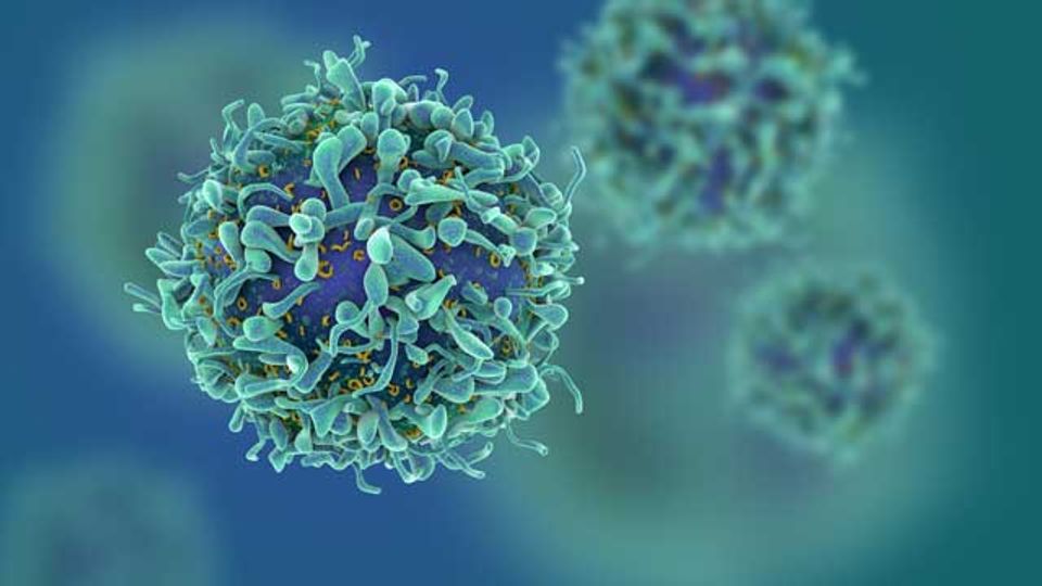 "Supercharging" Cancer-Fighting T Cells content piece image