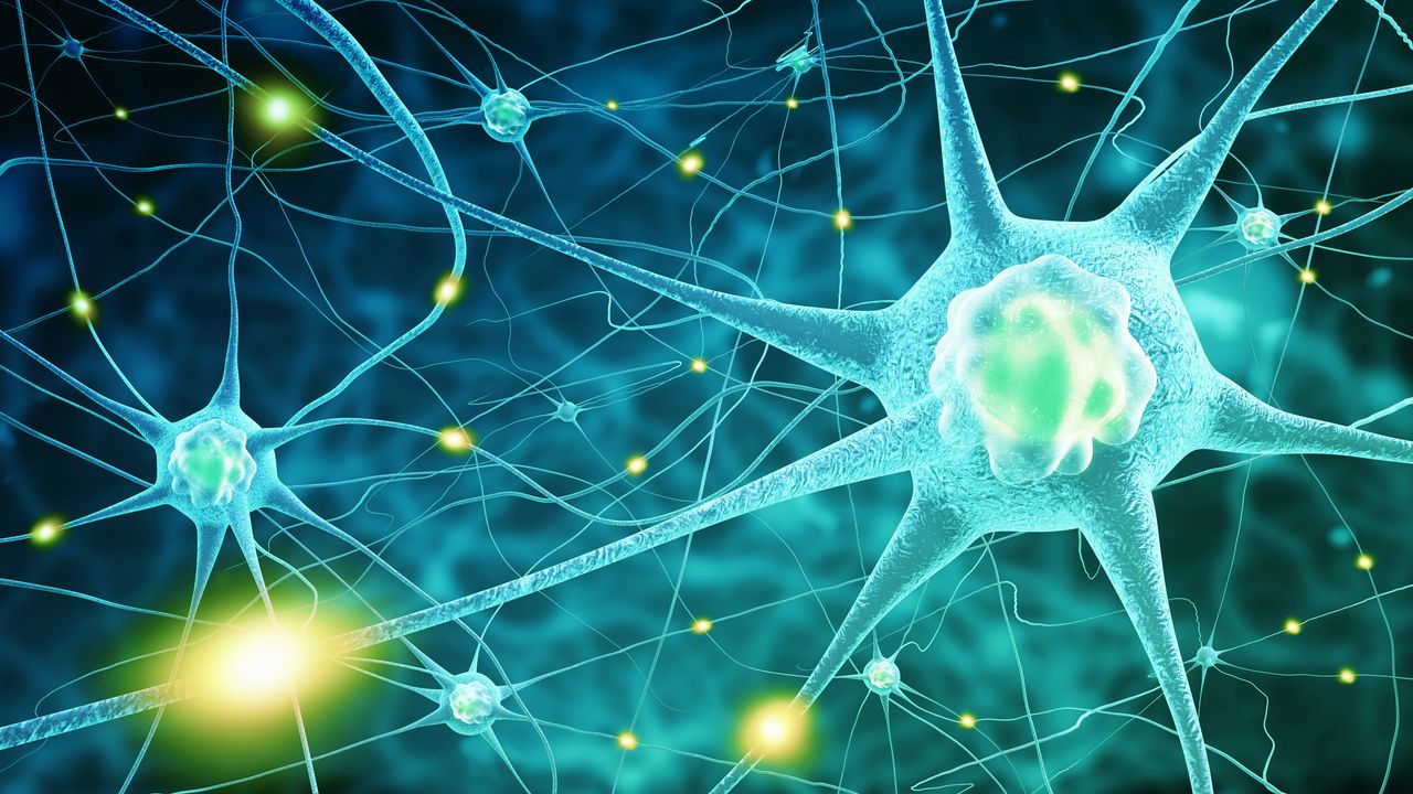 "Entirely New" Perspective on ALS Offered by Astrocyte Finding