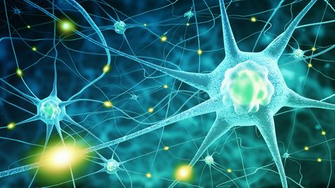"Entirely New" Perspective on ALS Offered by Astrocyte Finding