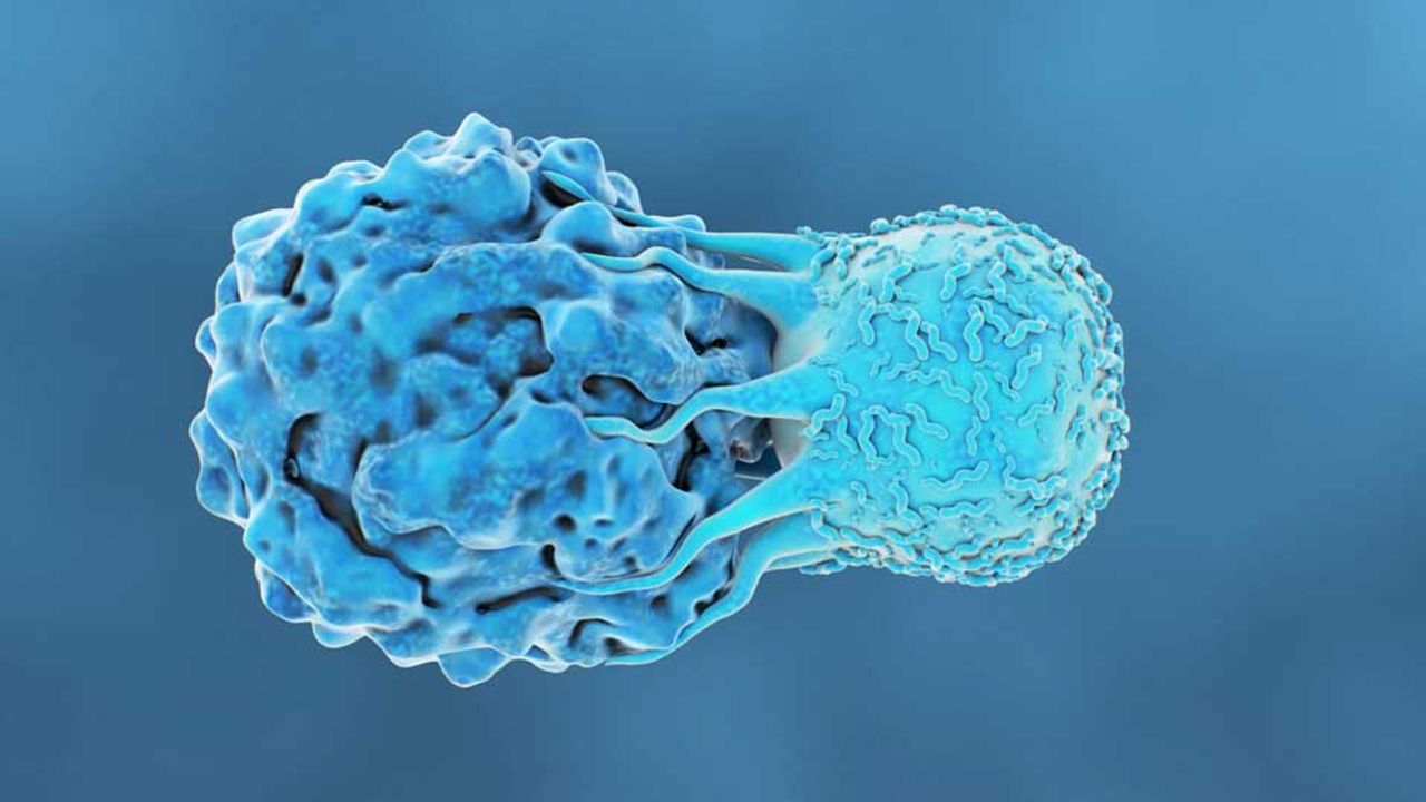 Collaboration Aims To Transform the Manufacturing of Cell Therapies