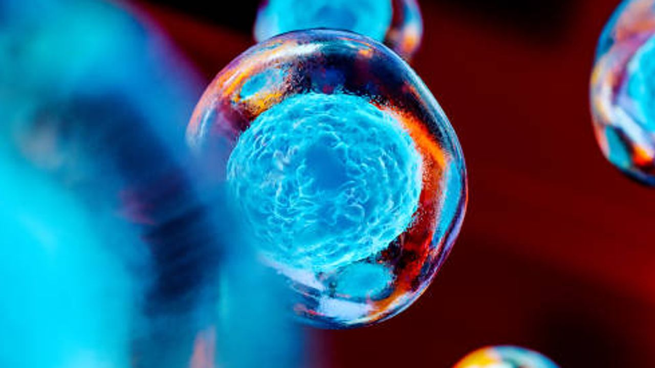 The Digital Revolution: Enabling Automation in Cell Therapy Manufacturing