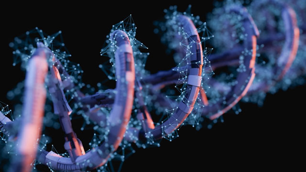 Taq Enzyme Does Not Behave How Scientists Once Thought