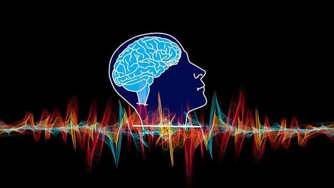 A New Window Into the Brain Allows for Long-Term Activity Studies