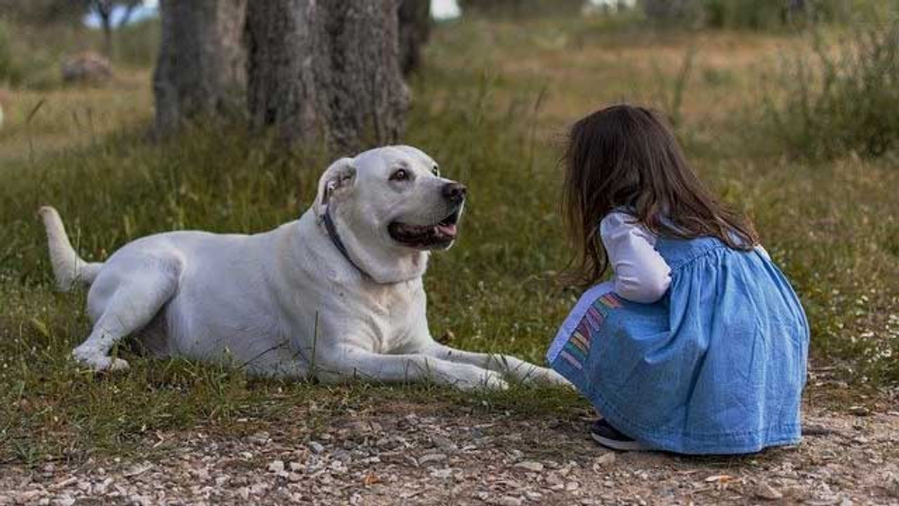 Having a Pet Could Protect Your Child From Allergies