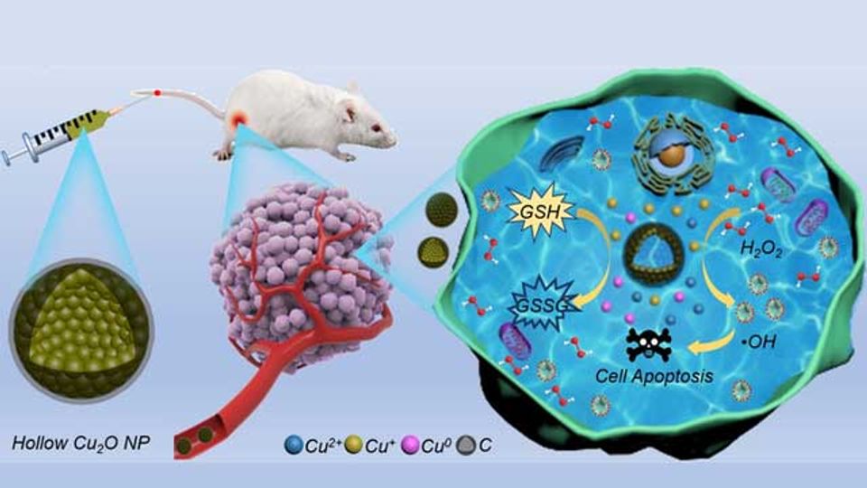 Team Designs "Nanocapsules" To Improve Efficacy of Cancer Chemodynamic Therapy content piece image