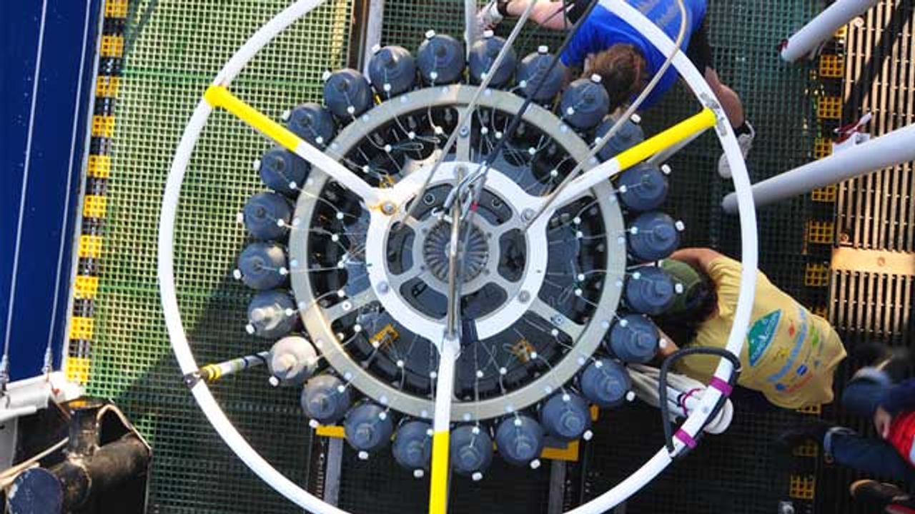 Microscopic Marine Life Helps Warming Ocean Adapt
