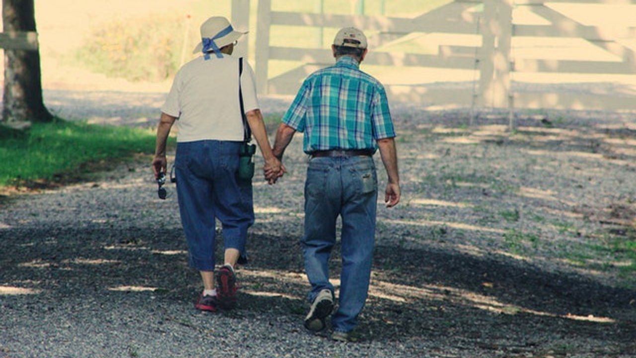 Cognitive Decline Is a Key Indicator of Lifespan in Alzheimer's Disease