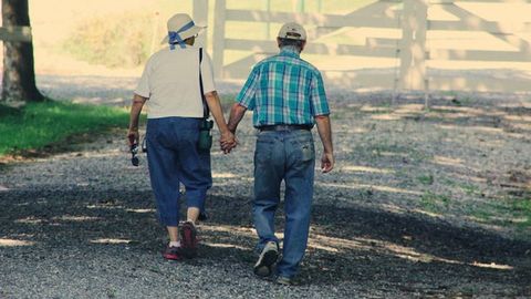 Cognitive Decline Is a Key Indicator of Lifespan in Alzheimer's Disease