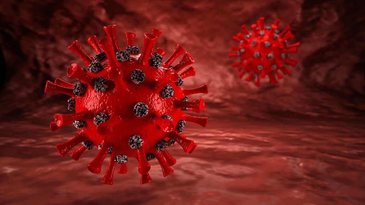 Tracking Viral Pathogens With Cryo-Electron Tomography