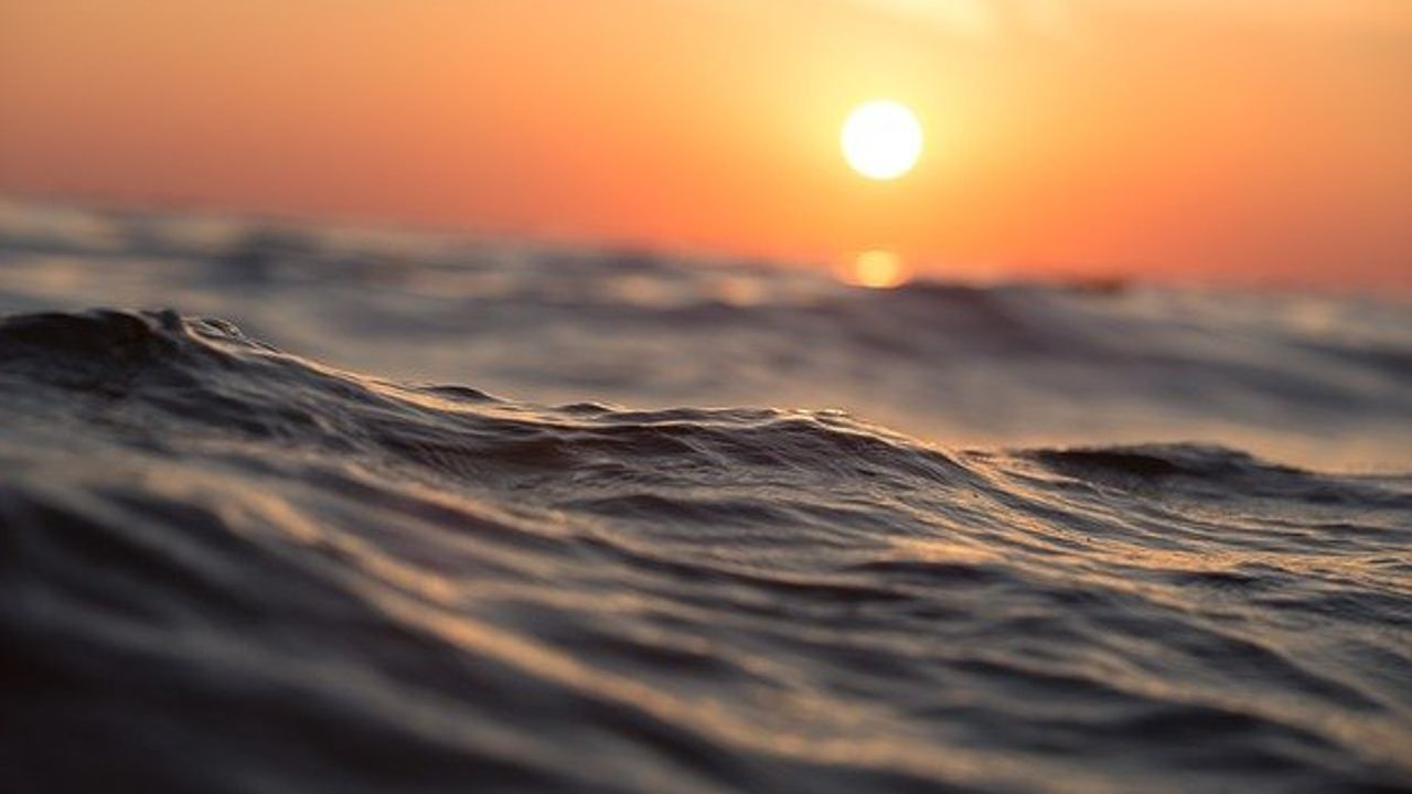 Marine Microbial Diversity Driven by Dispersal Strategies