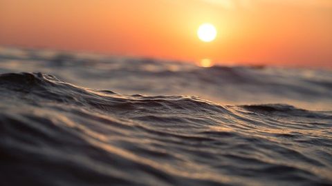 Marine Microbial Diversity Driven by Dispersal Strategies