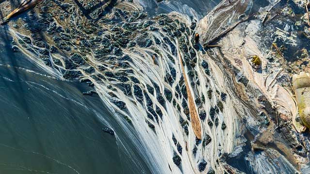 Road Traffic Could Be a Major Source of Water Pollution