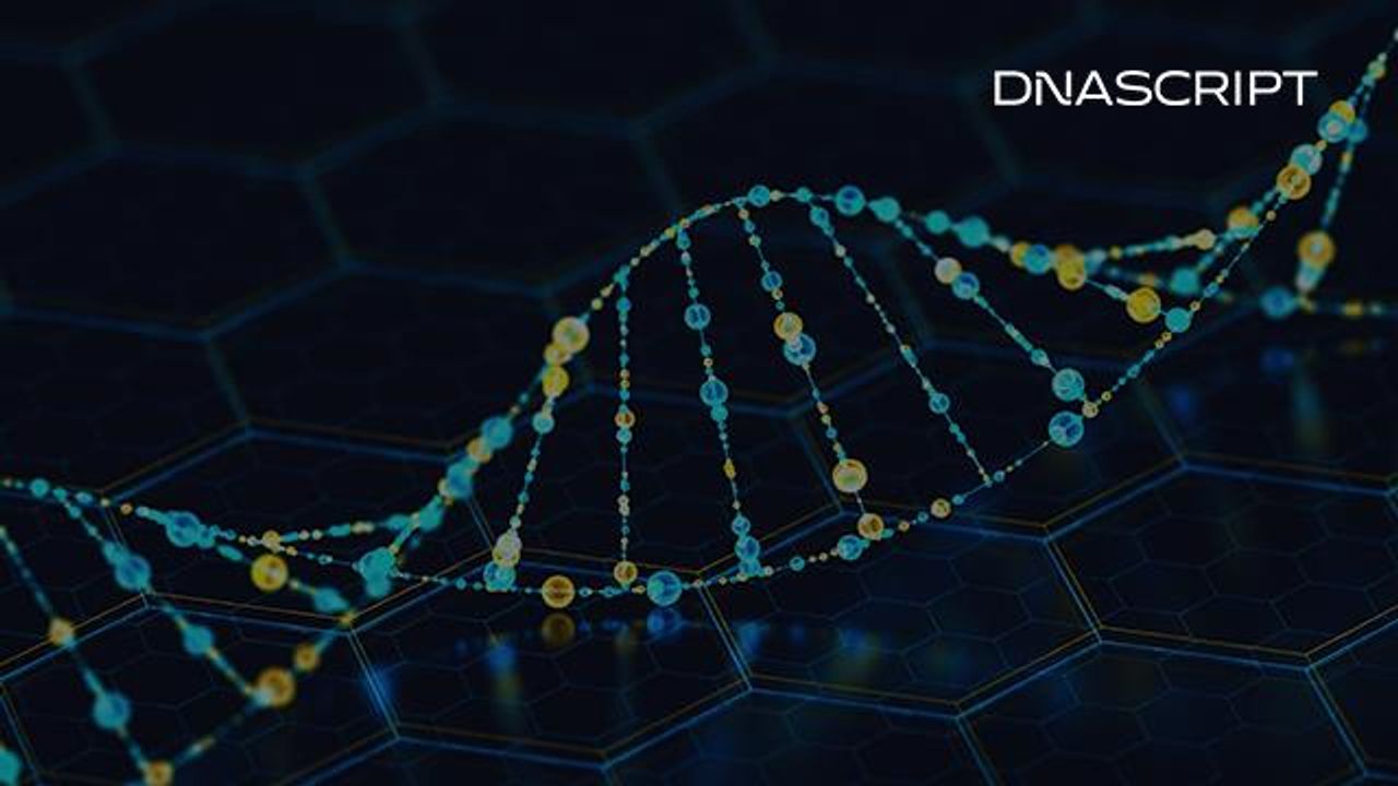 使用酶促DNA合成探索基因片段的快速组装