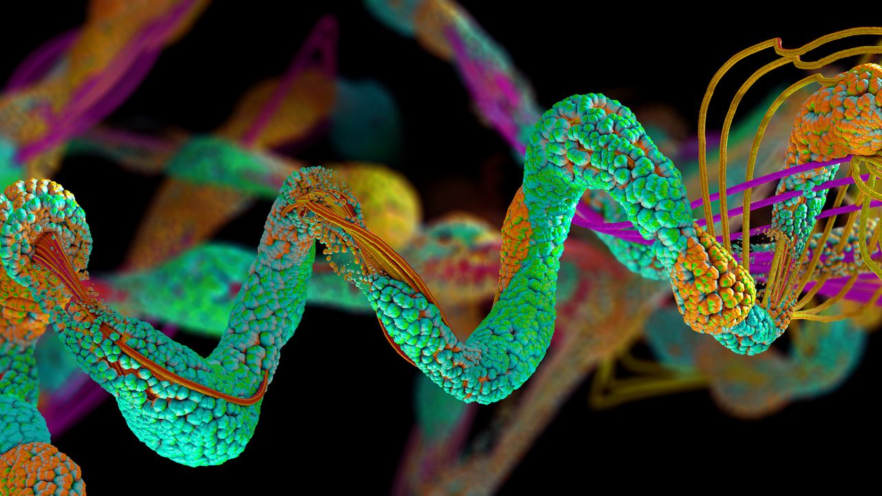 Time for Proteomics To Shine