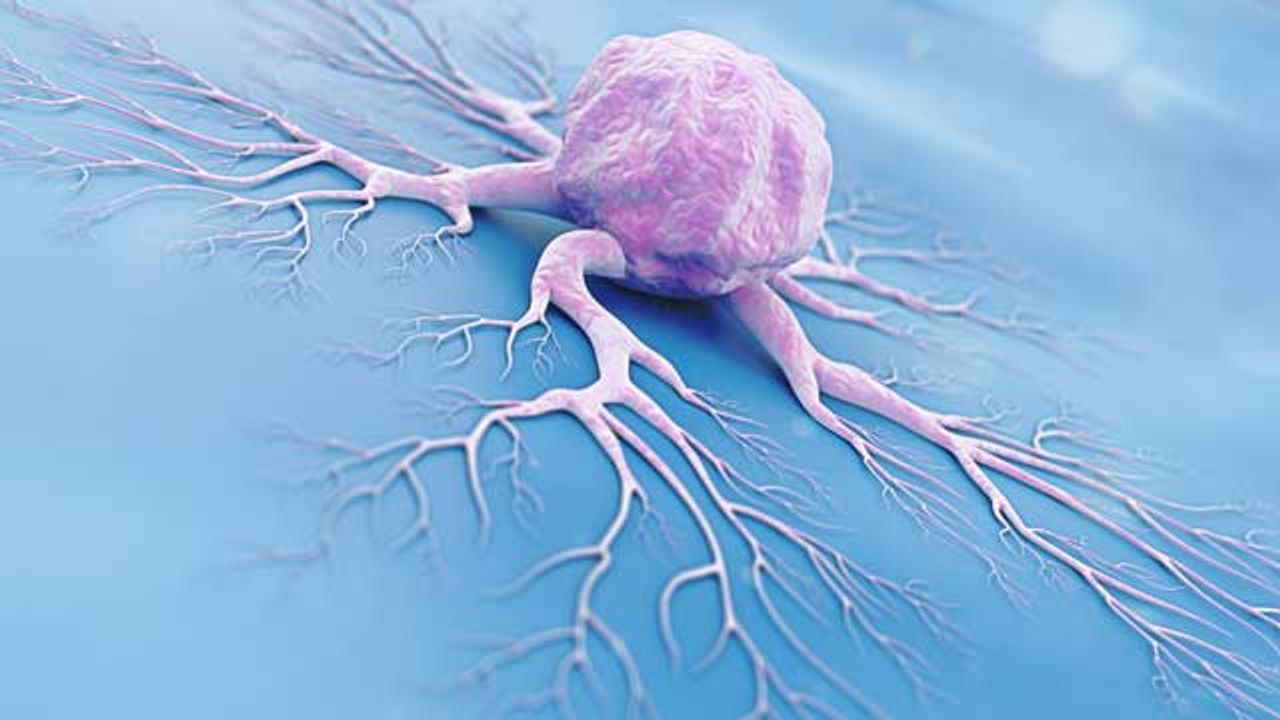 What Role Do Bitter Taste Receptors Play in Cancer?