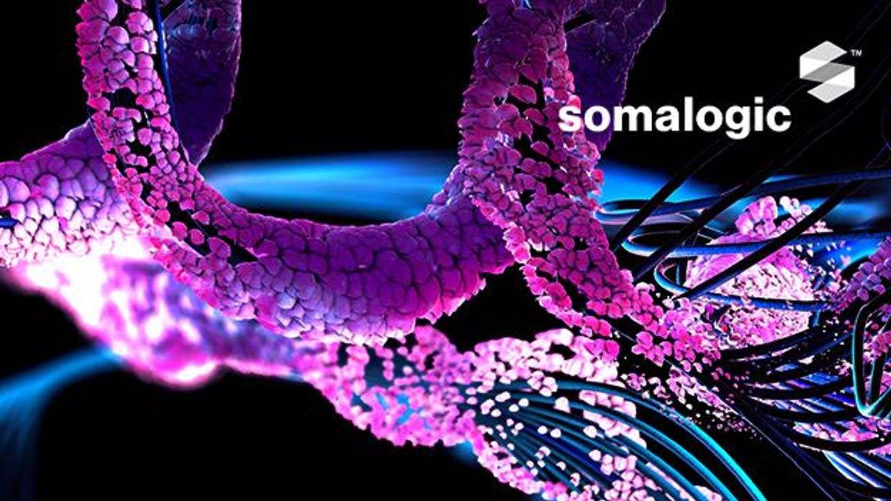 Protein Biomarker Models for Oncology Risk Assessment and Treatment Monitoring