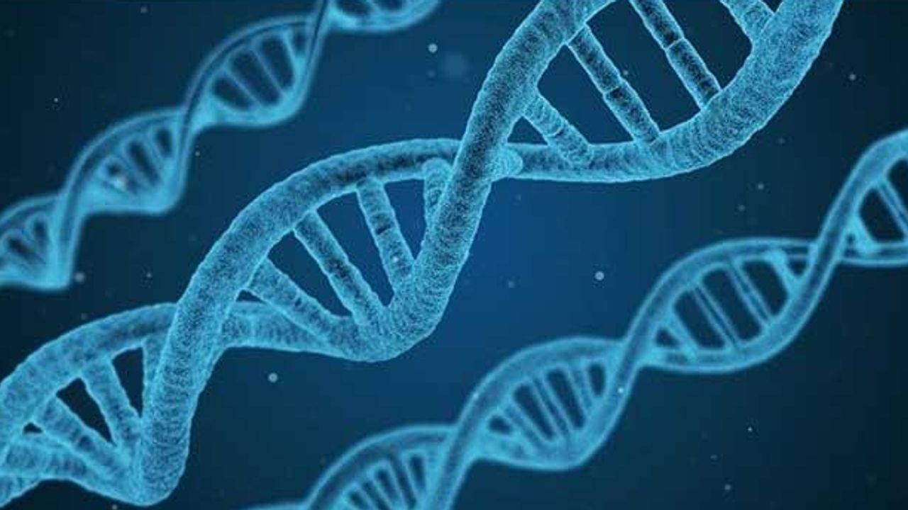 Genetic Research Shows New Clues for Parkinson's Treatment