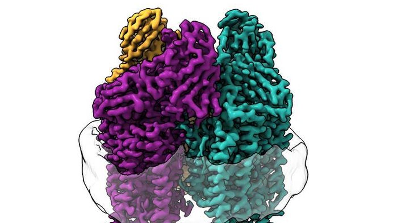 State-of-the-Art Method Reveals How Bacteria Convert Greenhouse Gas to Fuel