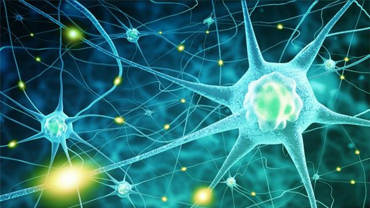 Overexpression of Gene Prevents Development of Parkinson’s in Lab Models