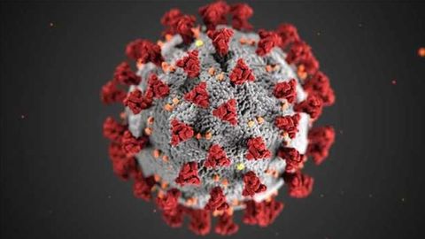 Exploiting the Interferon Response in COVID-19