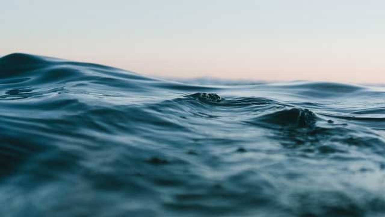 Respite-Giving Cold Spells Are Disappearing in Warming Oceans