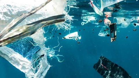 Majority of Ocean Plastics May Be Hidden Out of Sight