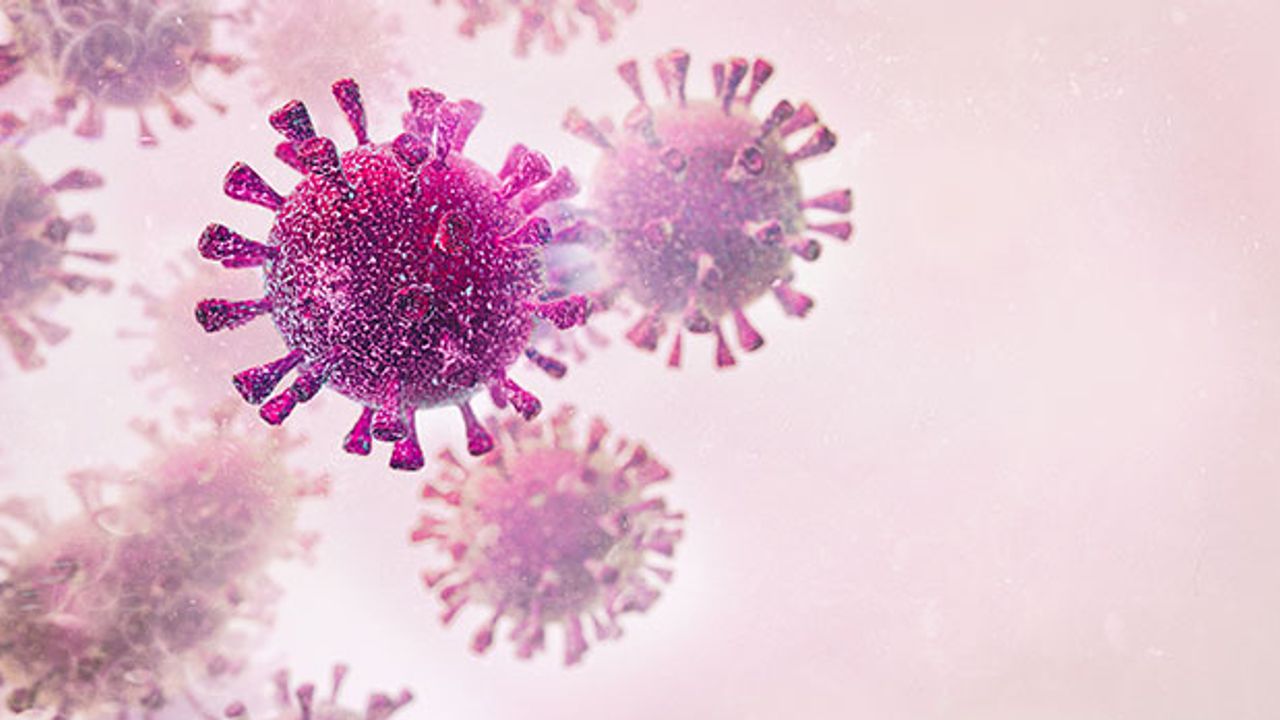 Microplate-Based Assays in Virology Research