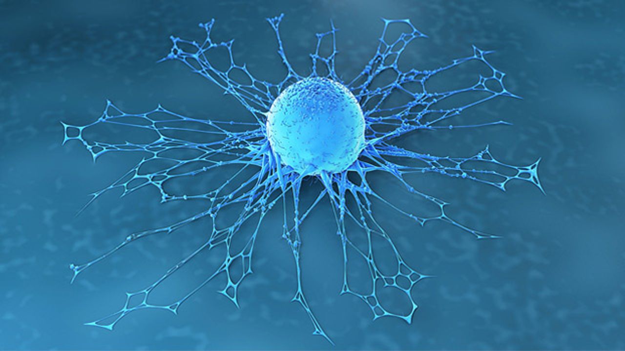 New Advances in Cancer Drug Discovery