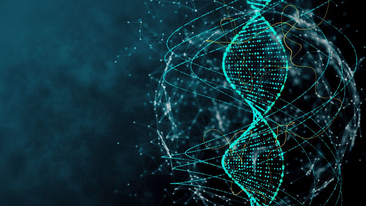 Clear Picture of How “First Responder” Is Recruited to Sites of DNA Damage