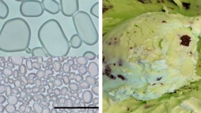 No More Ice Cream Crystals Thanks to Cellulose content piece image 