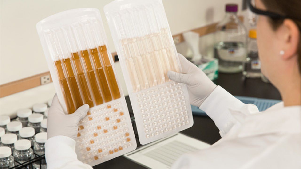 IDEXX Legiolert® Test for <i>Legionella pneumophila</i> Published as ASTM International Standard