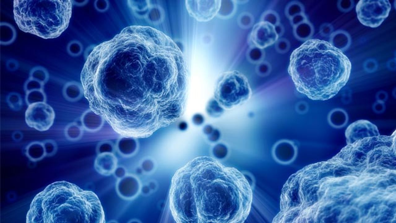 Tool Shines Light on Cellular Traffic and Internalization of Drugs