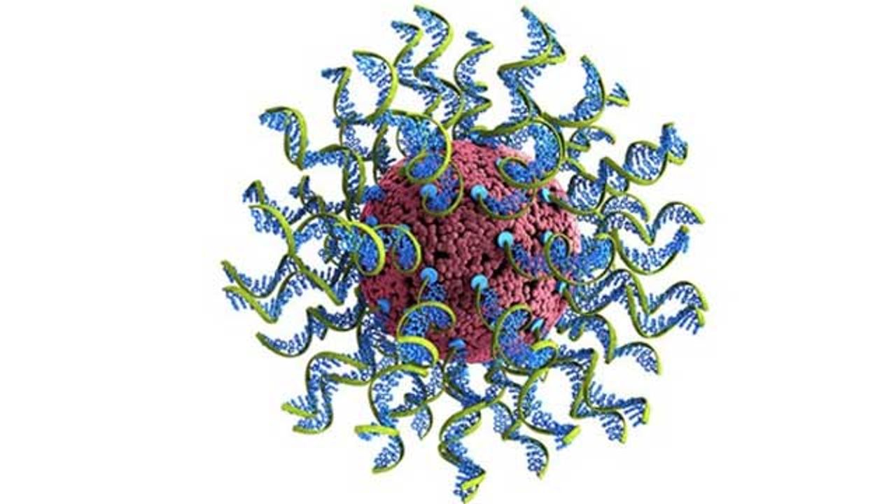 Nanoparticle-Based Vaccine for Future Infectious Diseases