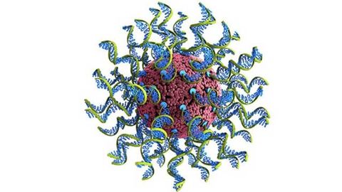 Nanoparticle-Based Vaccine for Future Infectious Diseases