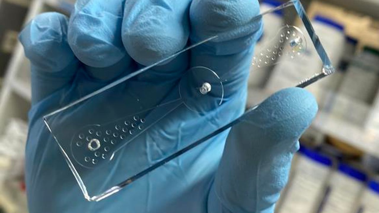 "Worm-on-a-Chip" Device Could Help Diagnose Lung Cancer