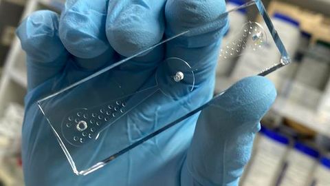 "Worm-on-a-Chip" Device Could Help Diagnose Lung Cancer