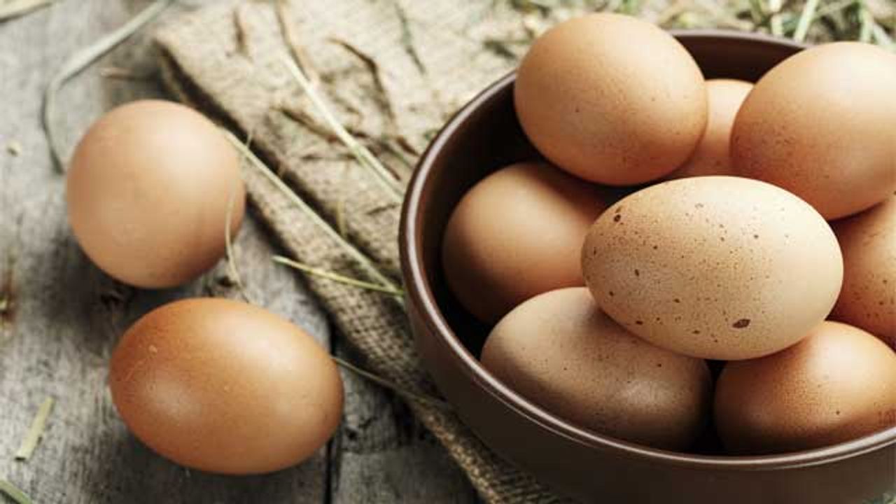 Developing Chicken-Free Egg Whites