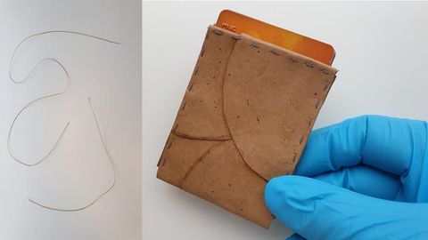 Fungus Fed on Breadcrumbs Used To Make Sustainable Leather Alternative