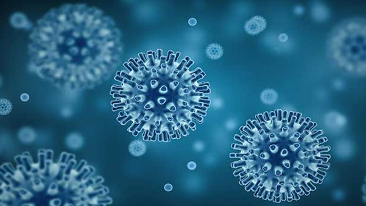 Vaccine-Induced T Cells Provide Long-Lasting Memory Against SARS-CoV-2