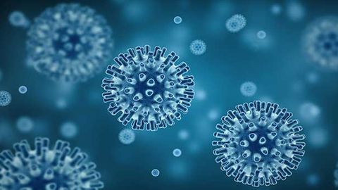 Vaccine-Induced T Cells Provide Long-Lasting Memory Against SARS-CoV-2