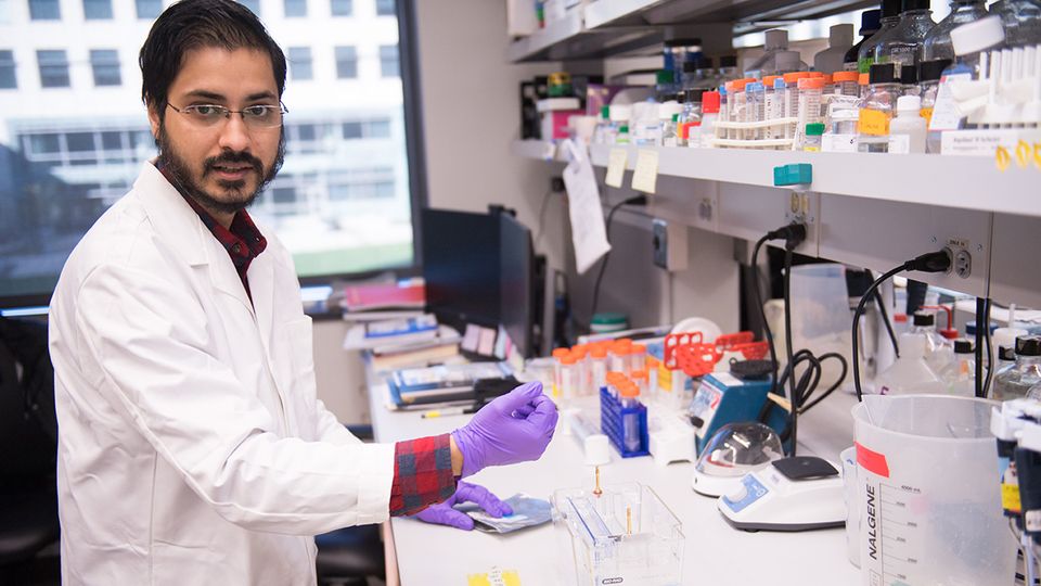 Mechanisms of Long Term Memory Revealed by Molecular Discovery content piece image