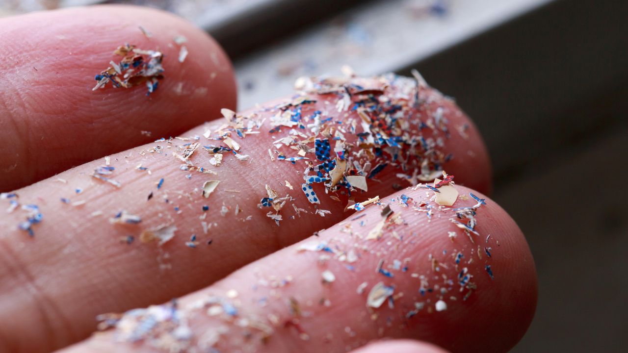 Microplastics Found in Human Bloodstream for First Time