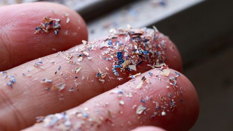 Microplastics Found in Human Bloodstream for First Time