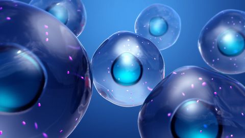 New Pathway for Tumor Cells To Transfer Genetic Material Discovered